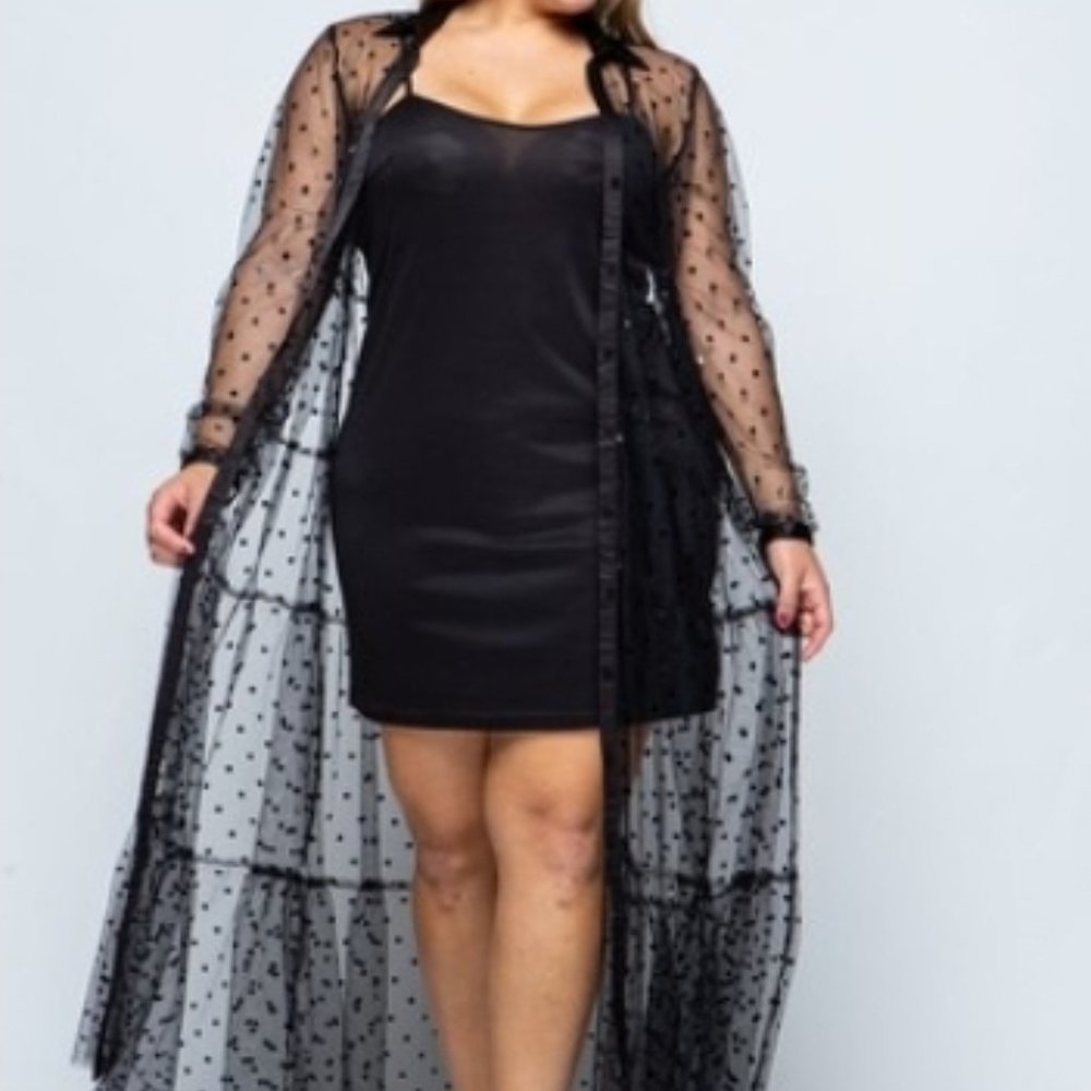 Rosie Sheer 2pc Dress